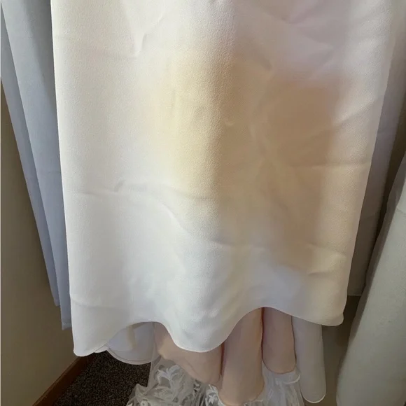 Pronovias Barcelona Cream Lace with Intricate Patterns - Picture 9 of 16